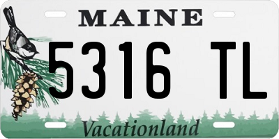 ME license plate 5316TL