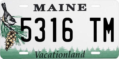 ME license plate 5316TM