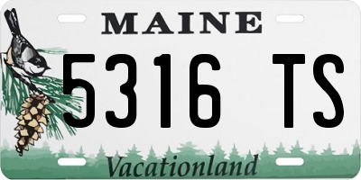 ME license plate 5316TS