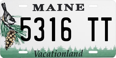 ME license plate 5316TT