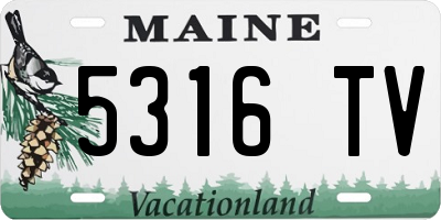 ME license plate 5316TV