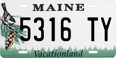 ME license plate 5316TY