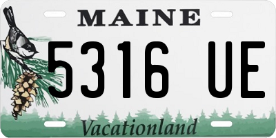 ME license plate 5316UE