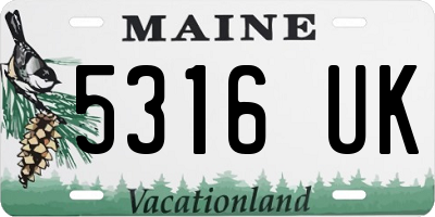 ME license plate 5316UK