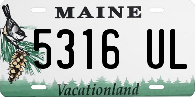 ME license plate 5316UL