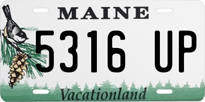 ME license plate 5316UP