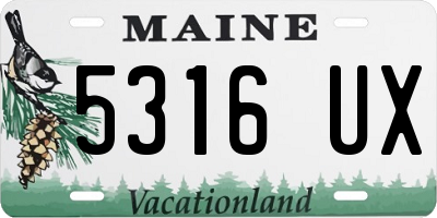 ME license plate 5316UX