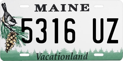 ME license plate 5316UZ