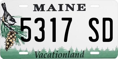 ME license plate 5317SD