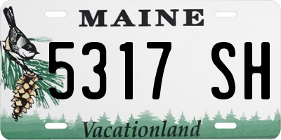 ME license plate 5317SH