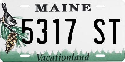 ME license plate 5317ST