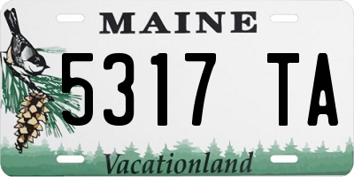 ME license plate 5317TA