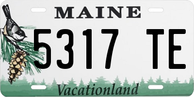 ME license plate 5317TE