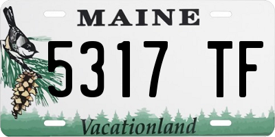 ME license plate 5317TF