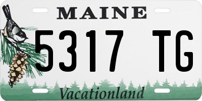 ME license plate 5317TG