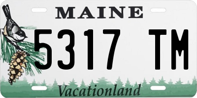 ME license plate 5317TM