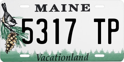 ME license plate 5317TP