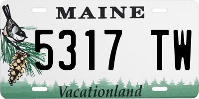 ME license plate 5317TW