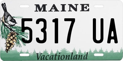 ME license plate 5317UA
