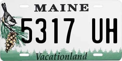 ME license plate 5317UH