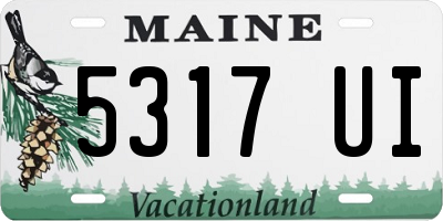 ME license plate 5317UI