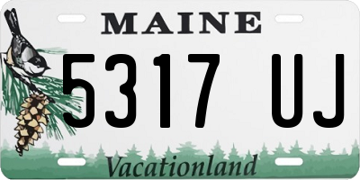 ME license plate 5317UJ