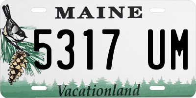 ME license plate 5317UM