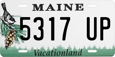 ME license plate 5317UP