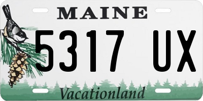 ME license plate 5317UX