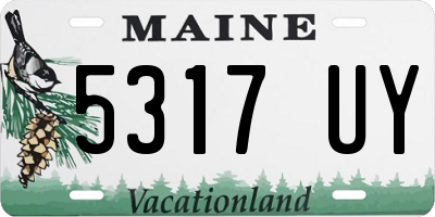 ME license plate 5317UY