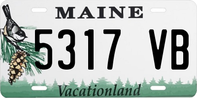 ME license plate 5317VB