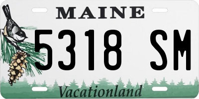 ME license plate 5318SM