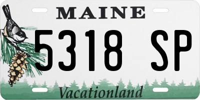 ME license plate 5318SP