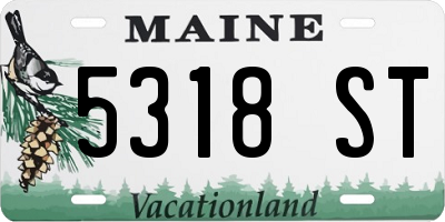 ME license plate 5318ST