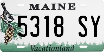 ME license plate 5318SY