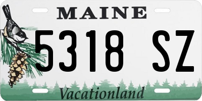 ME license plate 5318SZ
