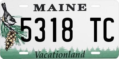 ME license plate 5318TC