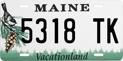 ME license plate 5318TK