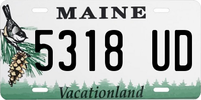 ME license plate 5318UD