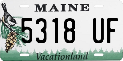 ME license plate 5318UF