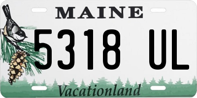ME license plate 5318UL