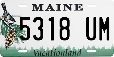 ME license plate 5318UM