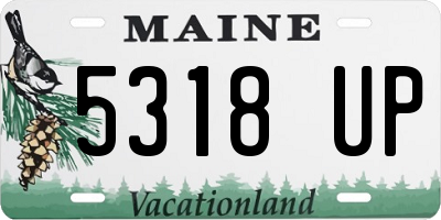 ME license plate 5318UP