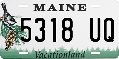 ME license plate 5318UQ