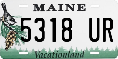 ME license plate 5318UR