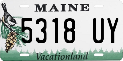 ME license plate 5318UY