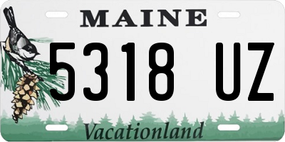 ME license plate 5318UZ