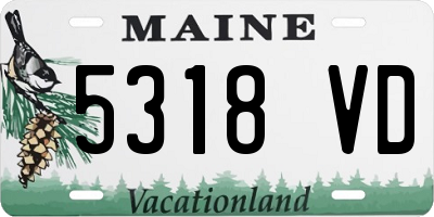 ME license plate 5318VD