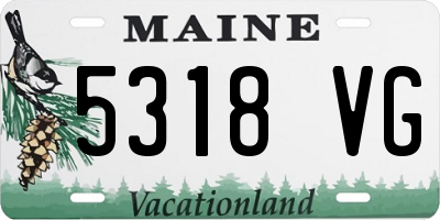 ME license plate 5318VG