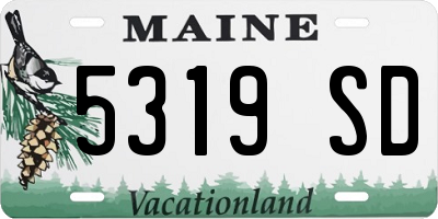ME license plate 5319SD